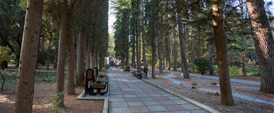 Алуштинский санаторий